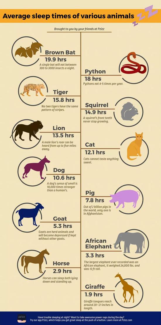 不同动物的睡眠时间（图片来源：Pzizz blog）