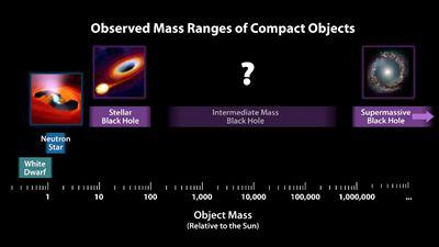 致密天体根据质量的分类，图片来源：NASA